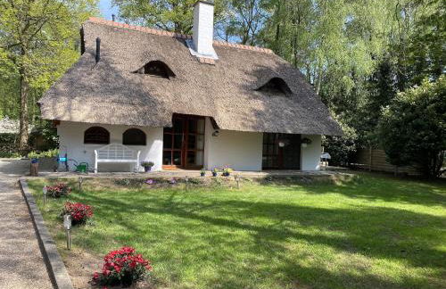 Ferienhaus Boschhuys - Foto 57