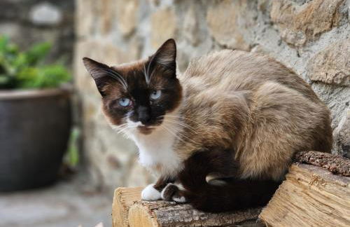 Cobijo de Villar - Foto 15