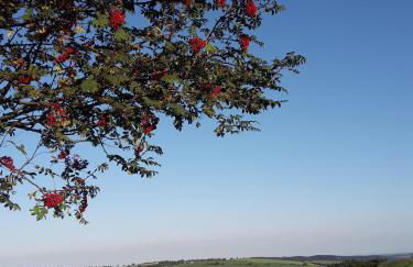 Ferienwohnung Haus Waldeck - Foto 21