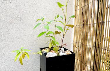 LE LAVADIÈRE - Joli duplex avec terrasse - Foto 18