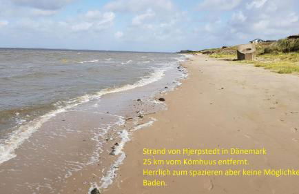 Ferienhaus Kömhuus - Photo 41