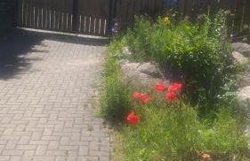 Ferienhaus Harzer Bauernhof - Foto 7