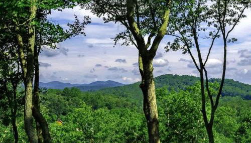 River Rock Cabin - Comfortable, Private Home with King Beds & Mountain Views - Foto 3