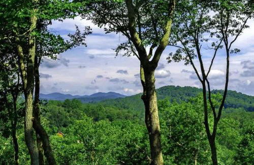 River Rock Cabin - Comfortable, Private Home with King Beds & Mountain Views - Foto 3