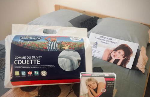 ARCHÉA RESIDENCE Appartment Cozy ROISSY CDG ASTERIX PARIS EXPO - Foto 13