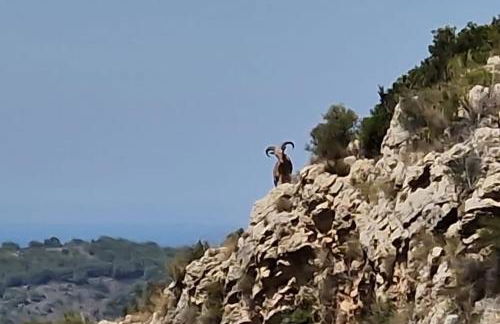 Casa Arminani, Costa Blanca, Sea & Mountain View - Foto 74