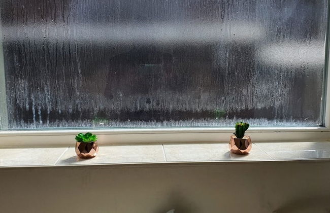 Spacious House in Stoke - Photo 33