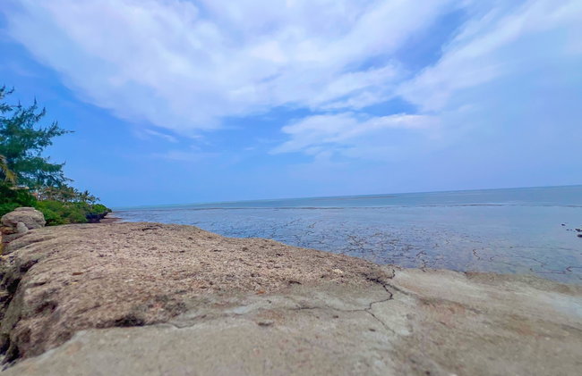 Royal Beachfront Apartments - Foto 15