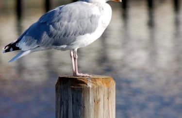 Ferienhaus in der Hansestadt mit Blick auf Ostsee - Foto 34