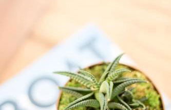 Open and Comfy home near Downtown-Folly Beach - Foto 47