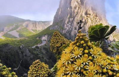 Casa Maria - Foto 48