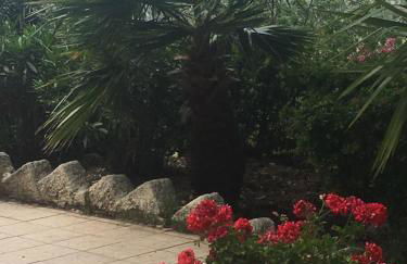 Ciuci's Manor - Foto 39