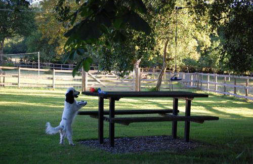 Dryslwyn Cottage - Foto 39