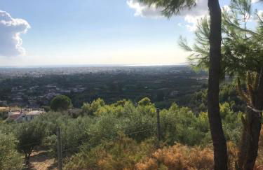 Mountain House near Pyrgos Ilias - Photo 36