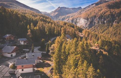 Ski et Détente Les Orres 1650 Animaux OK - Photo 37