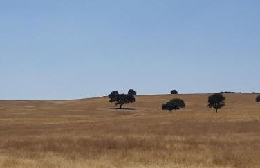 Abetarda CC - Foto 58