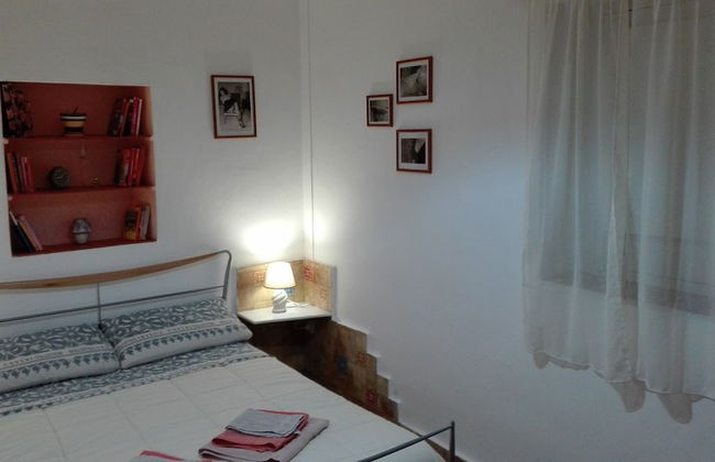 Zagara di Sicilia - Foto 7