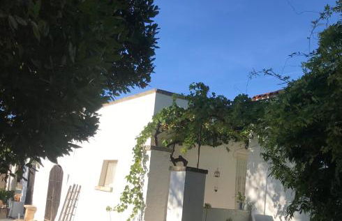 Masseria Trulli&Stelle B&B - Foto 26