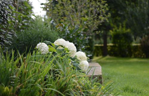 Ferienwohnung im Kuhstall - Foto 13