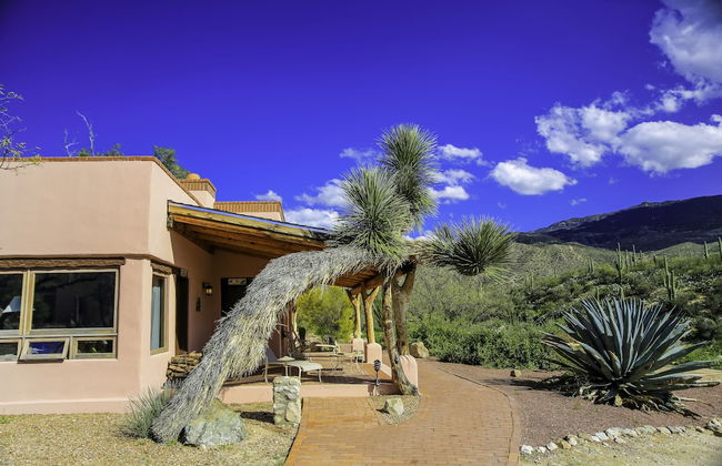 Tanque Verde Ranch - Photo 69