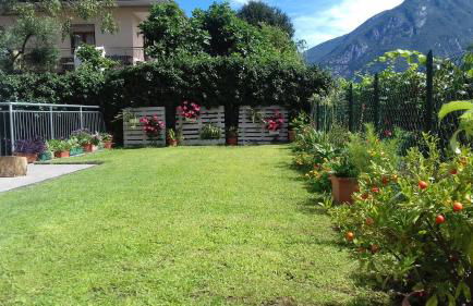 Apartment Viola - Foto 24