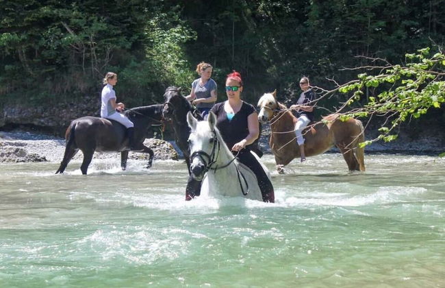 Holiday Apartment The Neuhaus - Foto 21