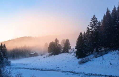 Gîte La Ramée - Foto 30