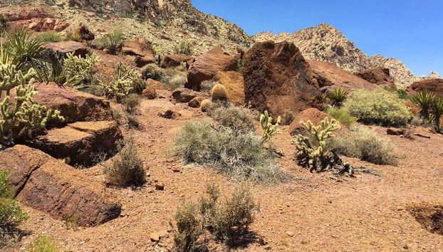 Paysages du désert de Las Vegas