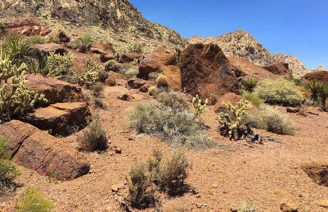 Stage de tir dans le désert de Las Vegas - Photo 5