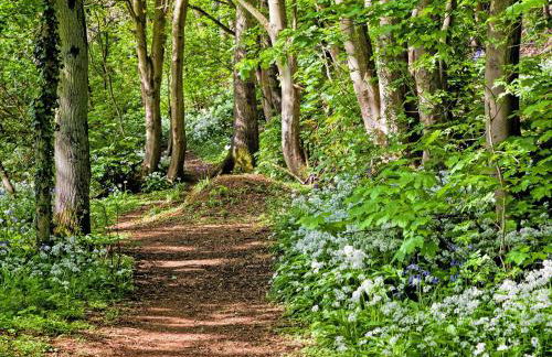 Squirrel Cottage - Foto 18