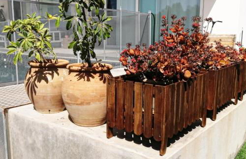 Ca Na Xisca - Foto 15