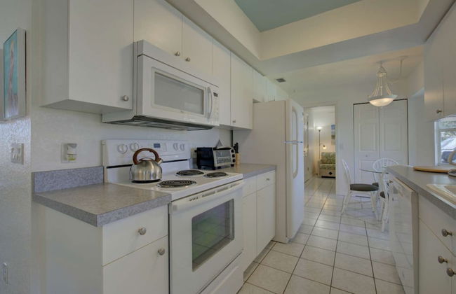 Smiling Dolphin - Foto 6