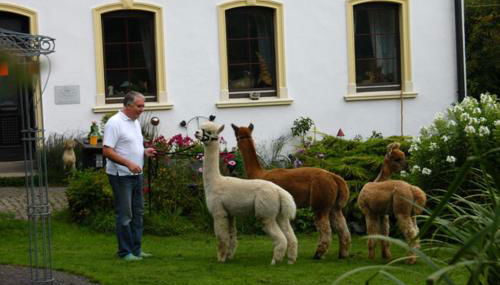 Holiday Apartment Alpakahof Blomberg - Foto 2