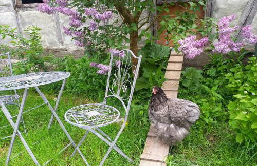 Romantisches Rosencottage - Foto 13