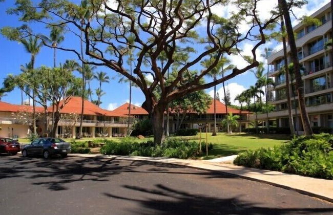 Maui Kaanapali S #a517 Studio Bedroom Condo by RedAwning - Foto 34