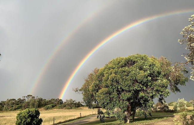 Driftwood Villas - Foto 60