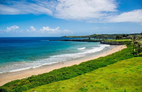 Kapalua Golf Villa 16V 2 - Foto 25