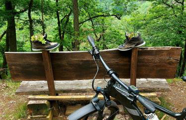 Premium Vulkaneifel Chalet - Foto 33