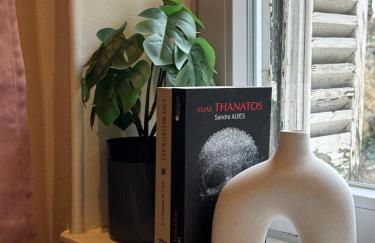 Mini loft Spa - Cosy - Foto 34