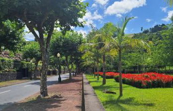 Penthouse Furnas - Photo 21