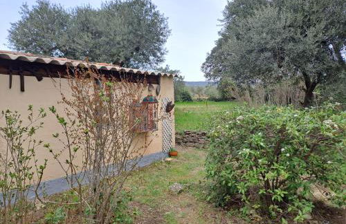Gîte " Le Clos de la Pinède " - Foto 30