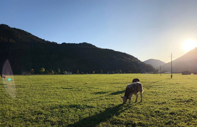 Karwendel-Lodge - Photo 26