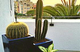 SISSI BOUTIQUE - THE TERRACE BETWEEN OCEAN AND TEIDE - Foto 37