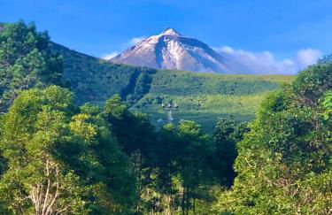 Quinta Pereirinha - A Private 3 Bedroom Home, Close to Hiking Traile w Ocean Views - Pico Island, Azores - Photo 12