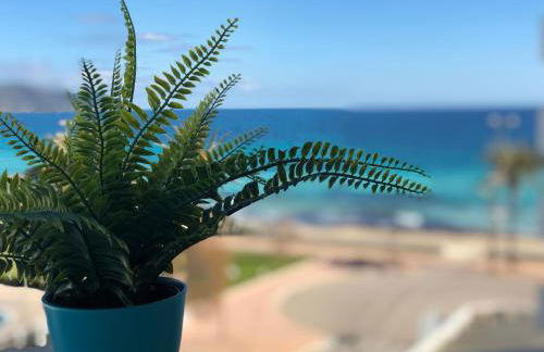 Apartamento Adrover - Foto 22