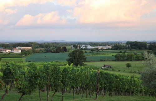 Ronc Dai Luchis - Foto 39