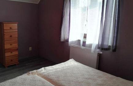 Słoneczna Zagroda - Sunny Ridge Farm - Foto 9