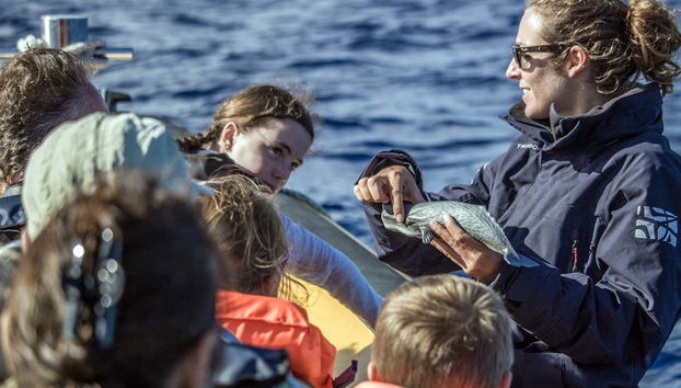 Whale Watching + Vila Islet Boat Tour - Photo 5