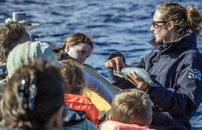 Avistamiento de cetáceos + Islote de Vila Franca - Foto 7