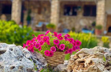 Villa Sanz - Foto 32